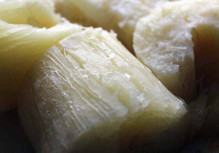 yuca